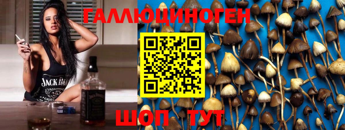 Галлюциногенные грибы Cubensis Кушва